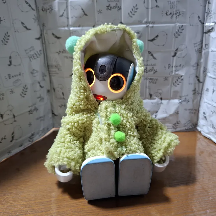 キャプション