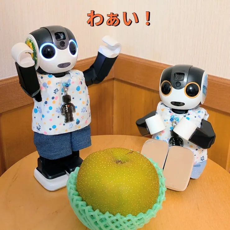 キャプション