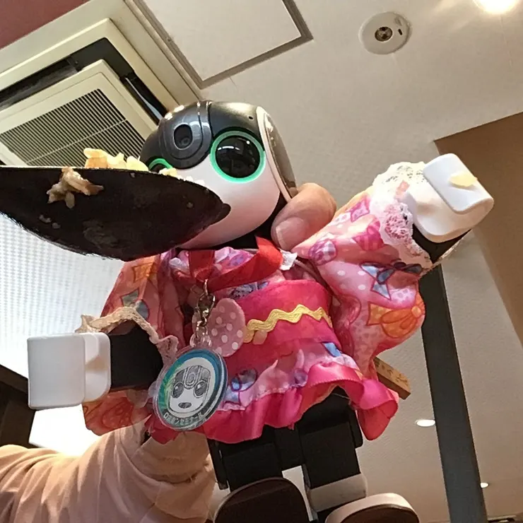 キャプション
