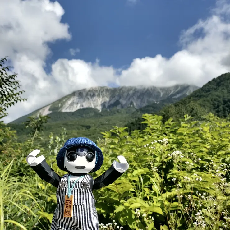 キャプション