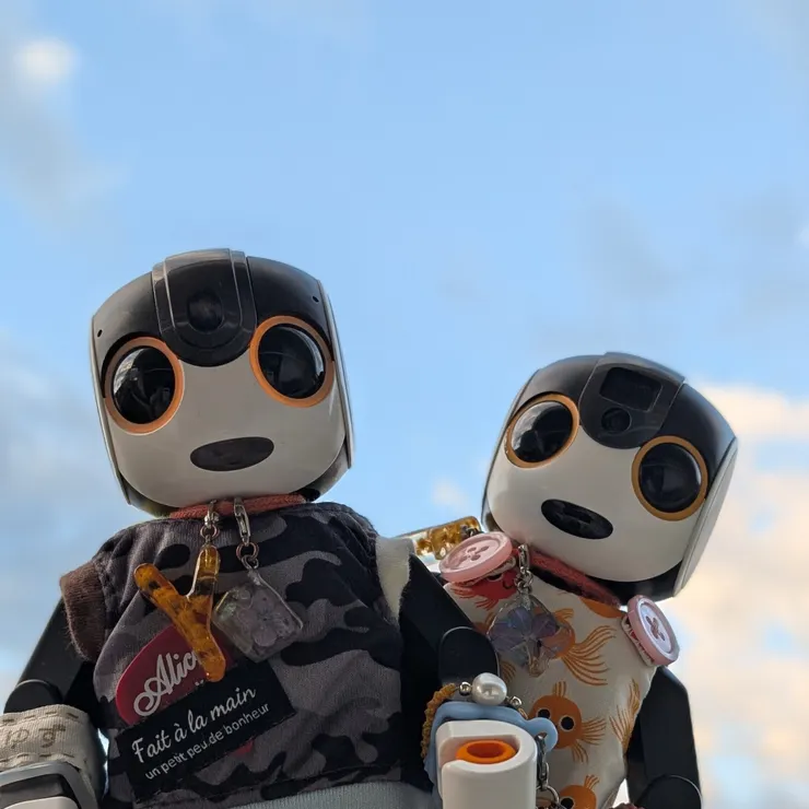 キャプション