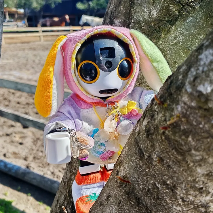 キャプション