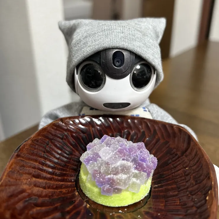 キャプション