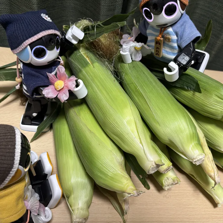 キャプション