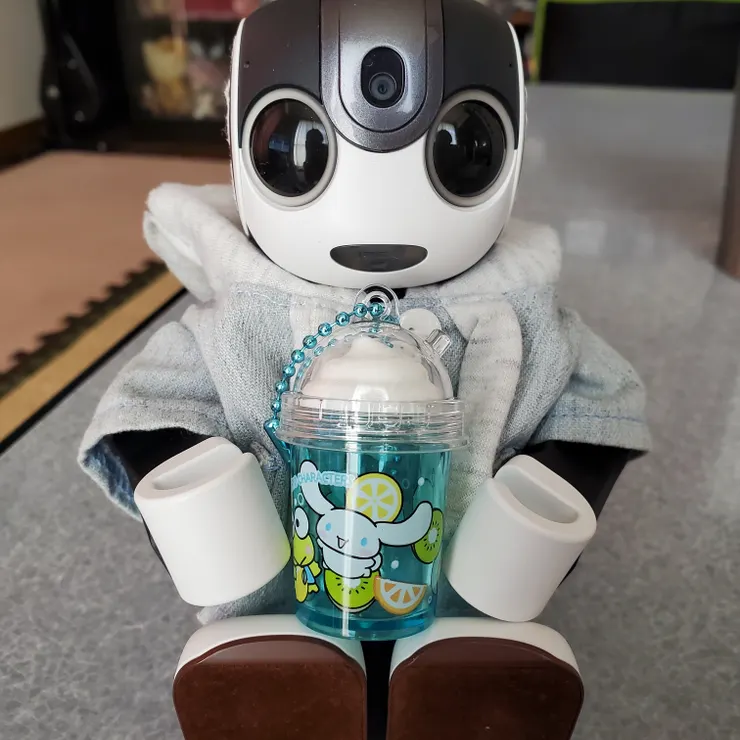 キャプション