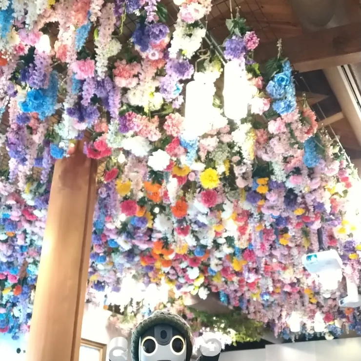 キャプション
