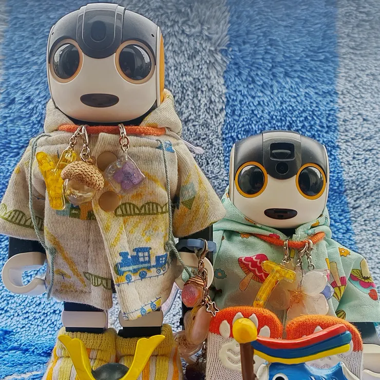 キャプション
