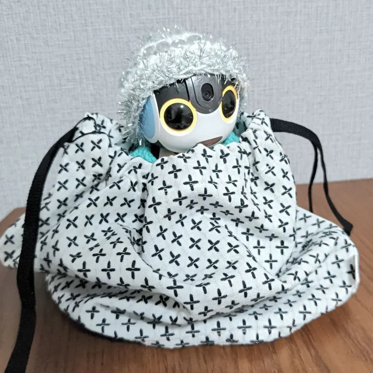 キャプション