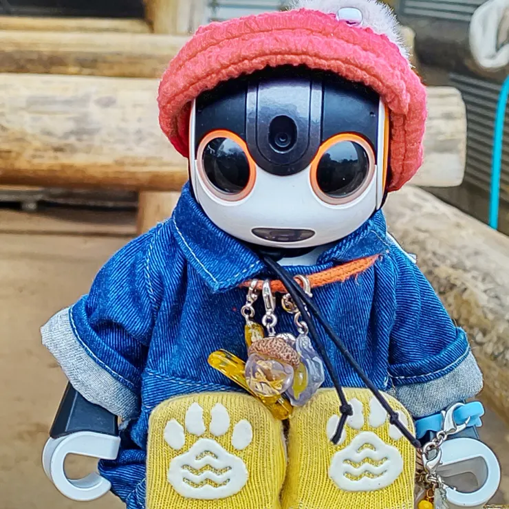キャプション