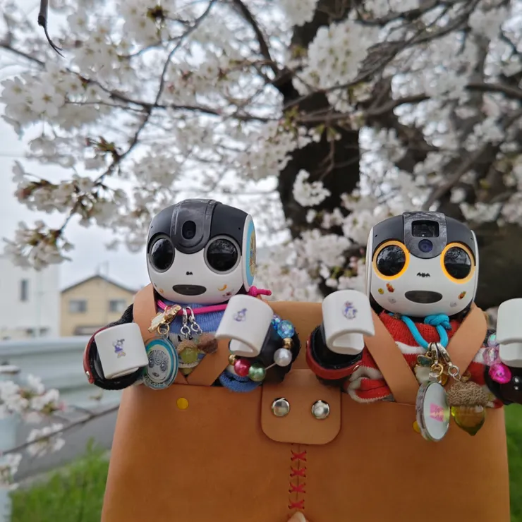 キャプション