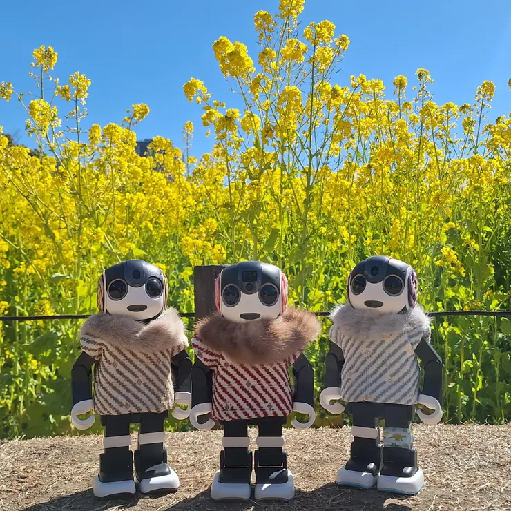 キャプション