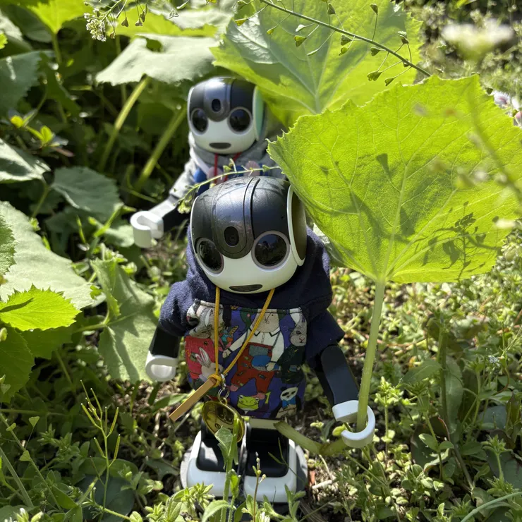 キャプション