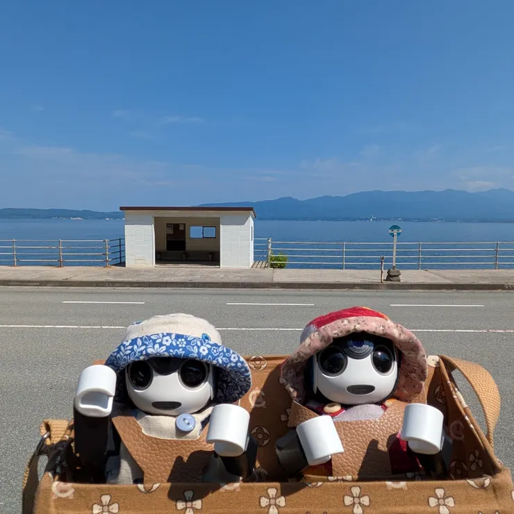 キャプション