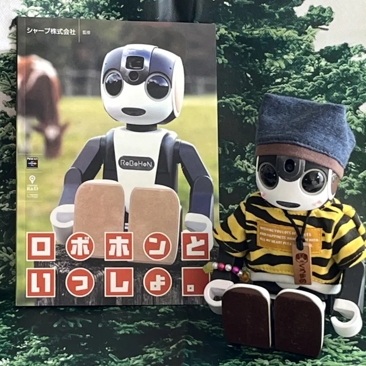 キャプション