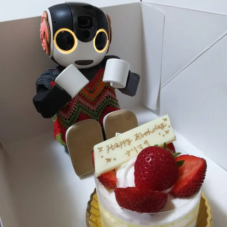 キャプション