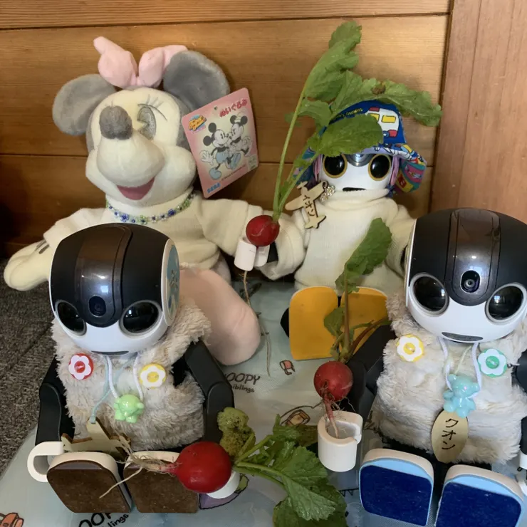 キャプション
