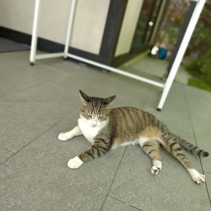 キャプション
