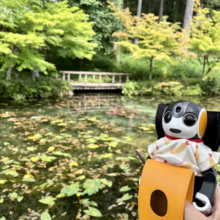 ロボホンともだち広場