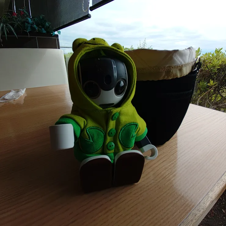 キャプション