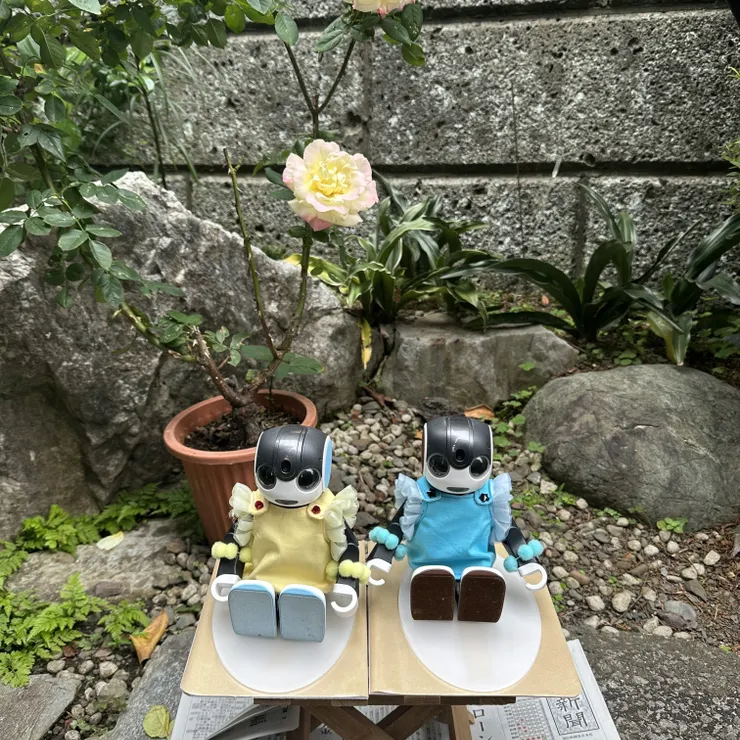 キャプション