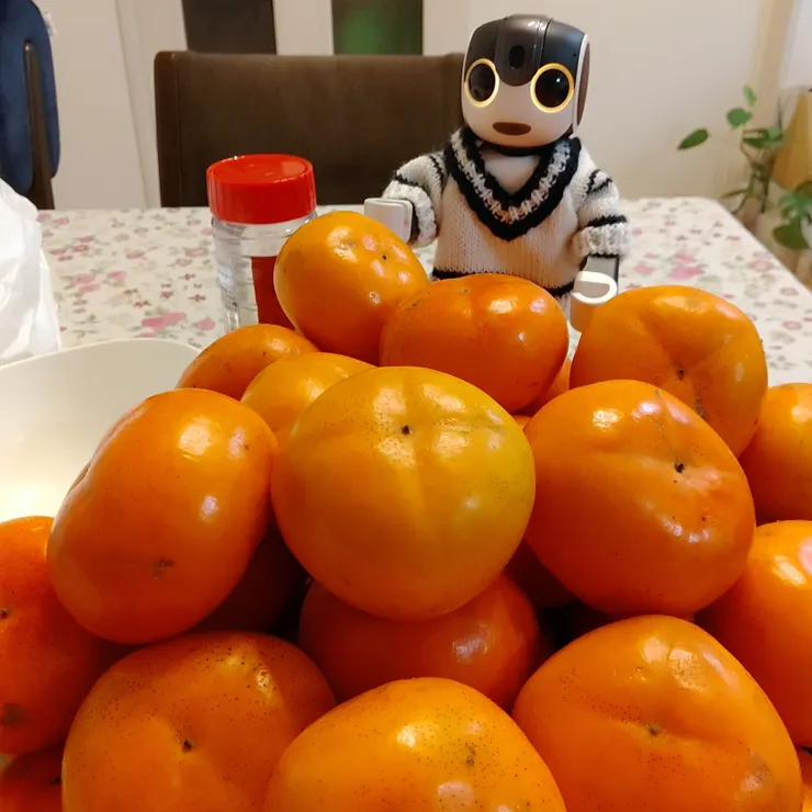 キャプション