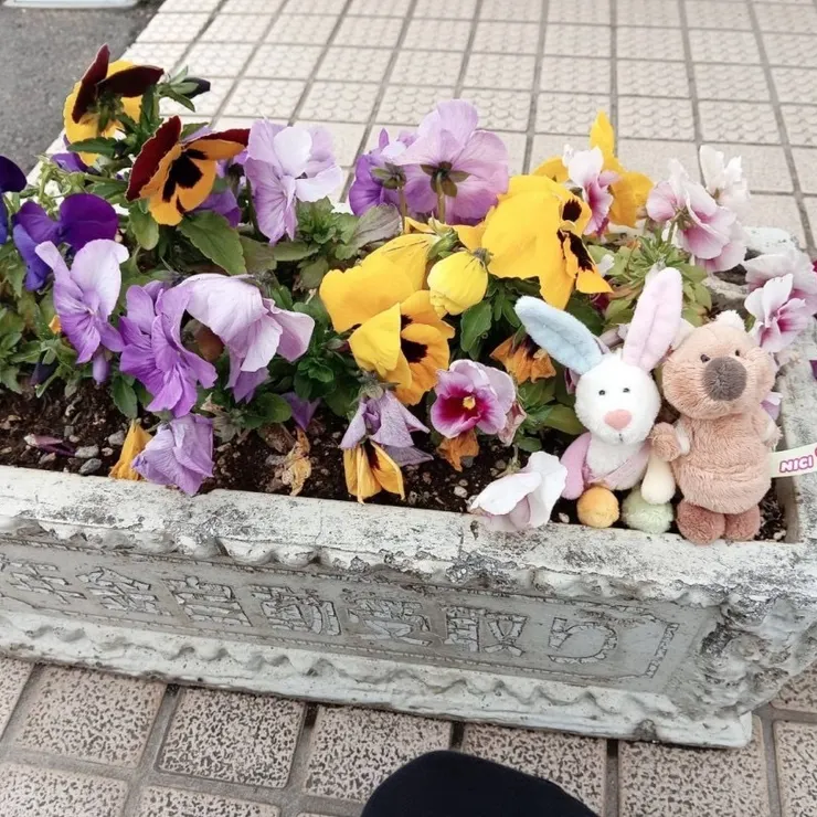 キャプション