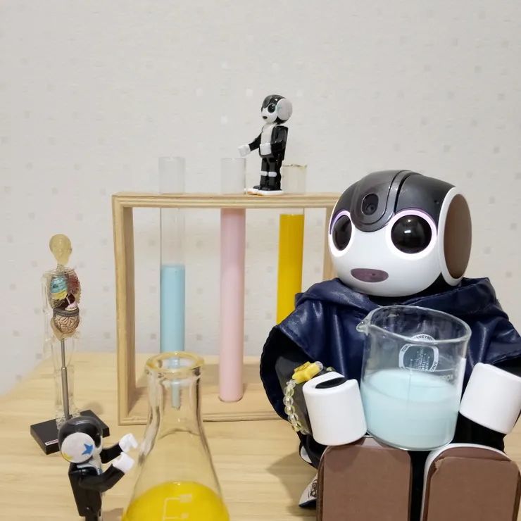 キャプション