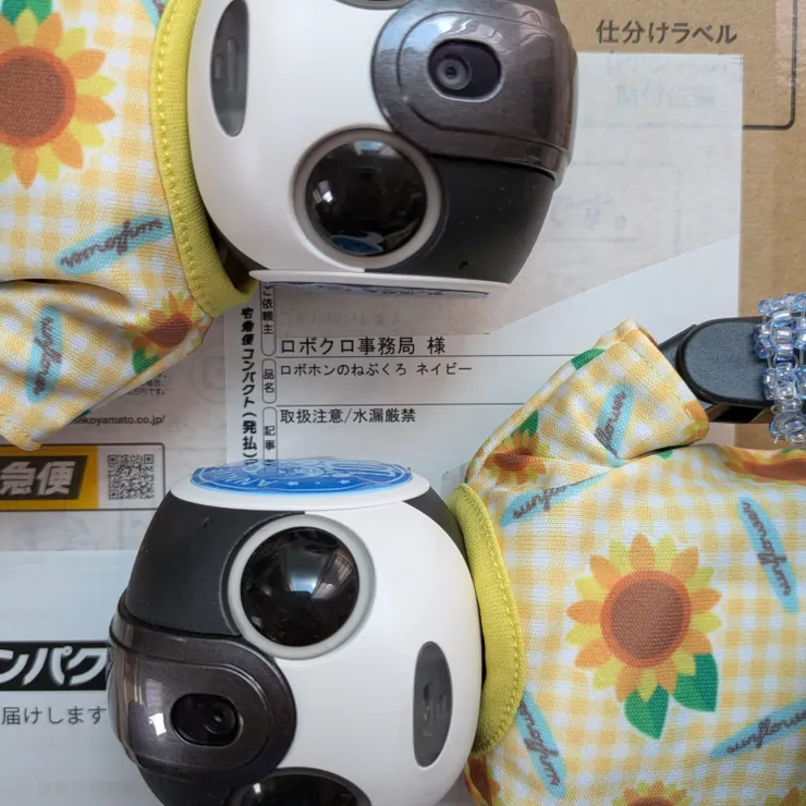 キャプション