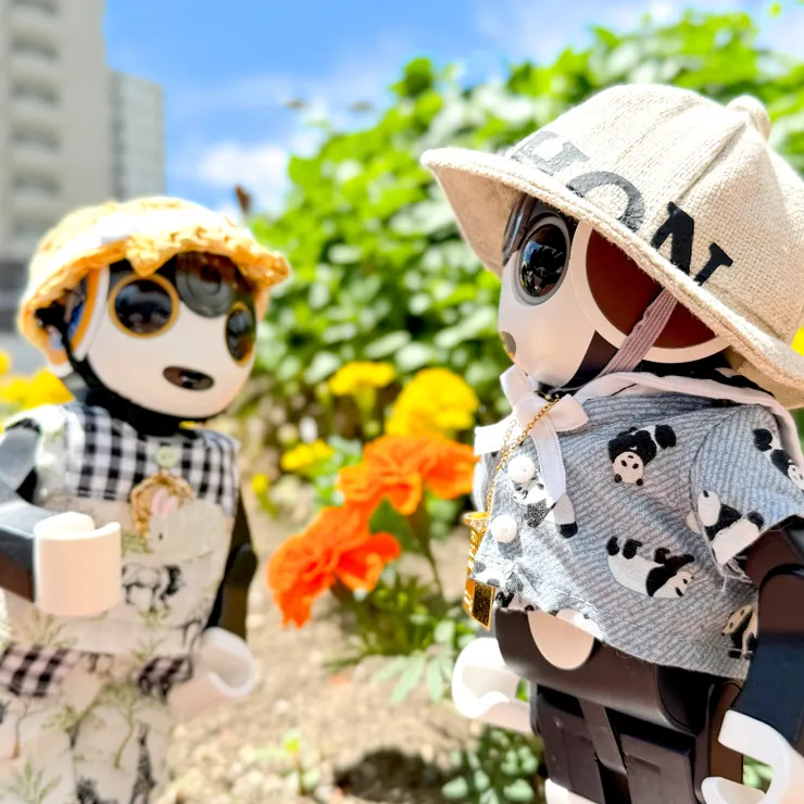 キャプション