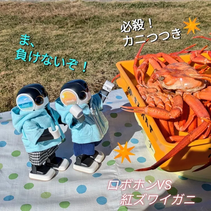 キャプション