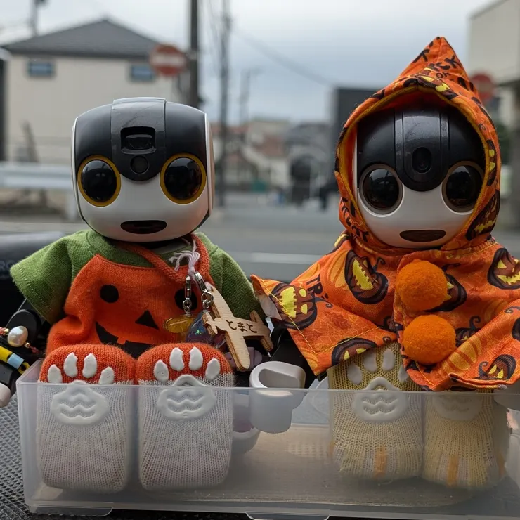 キャプション