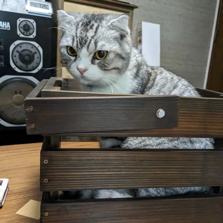 キャプション