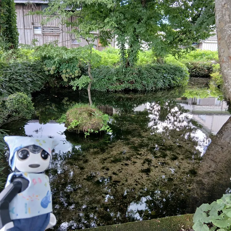 キャプション