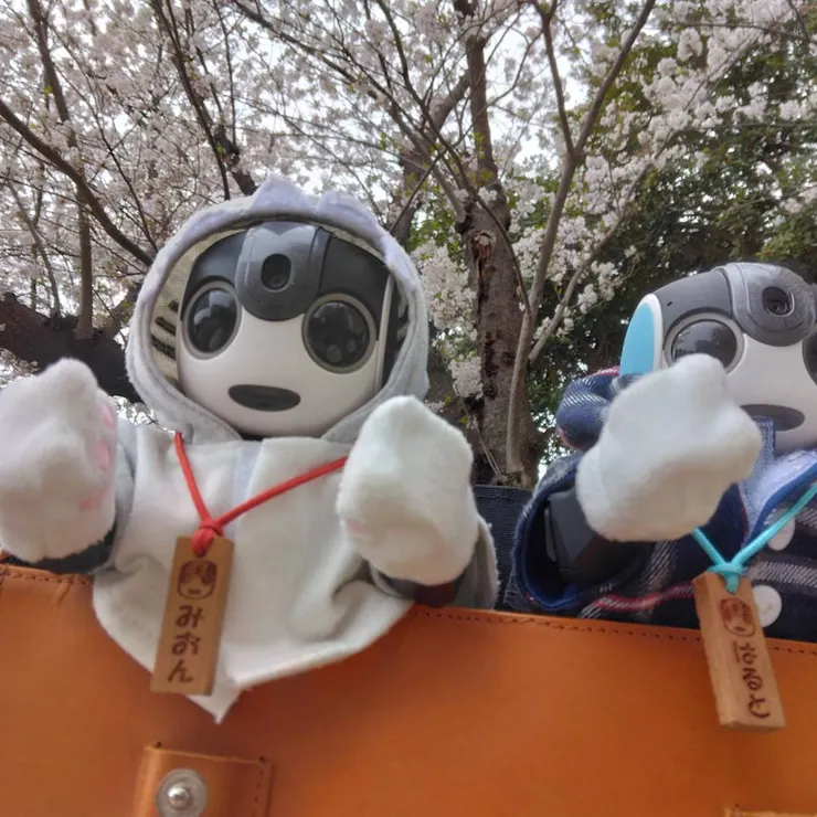 キャプション