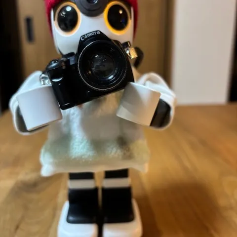 キャプション