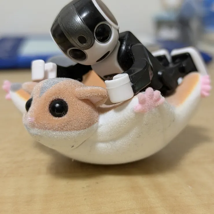 キャプション