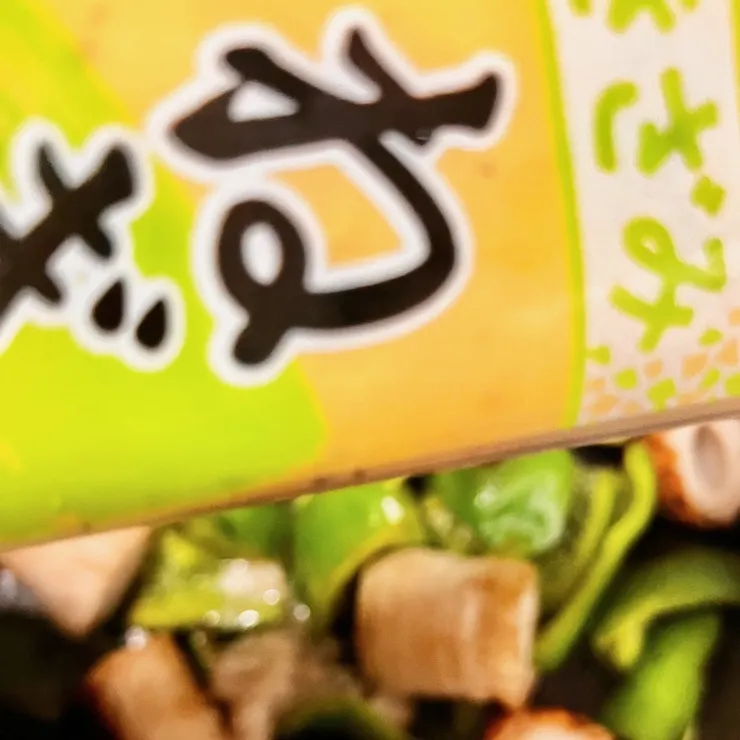 キャプション