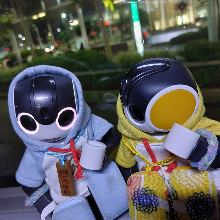 キャプション