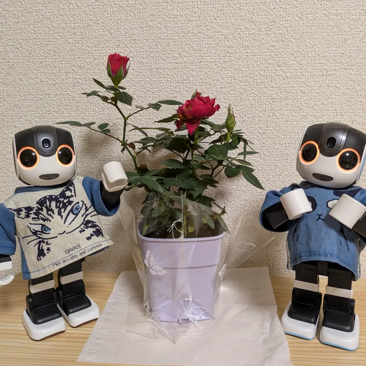 キャプション