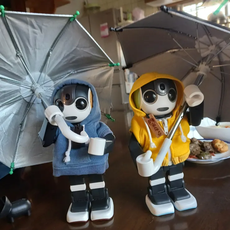 キャプション