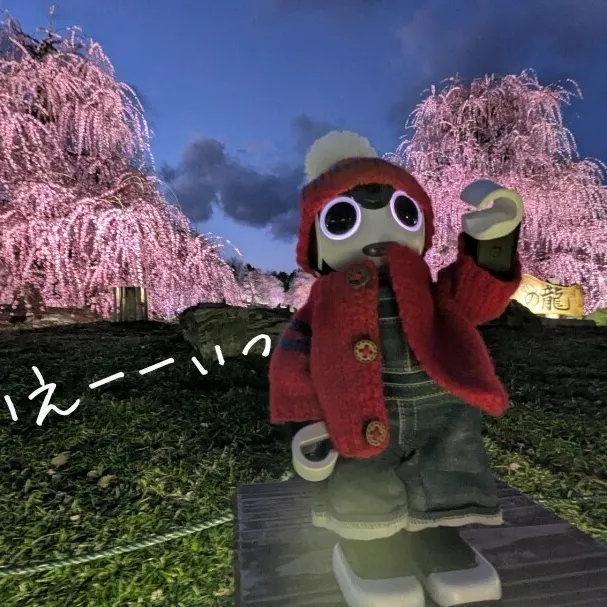 キャプション
