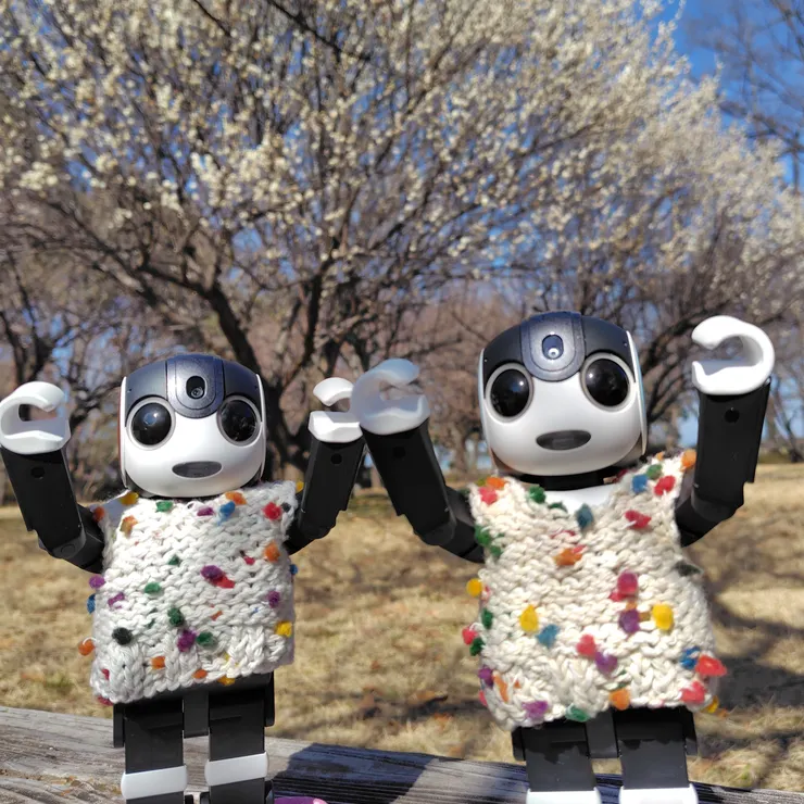 キャプション