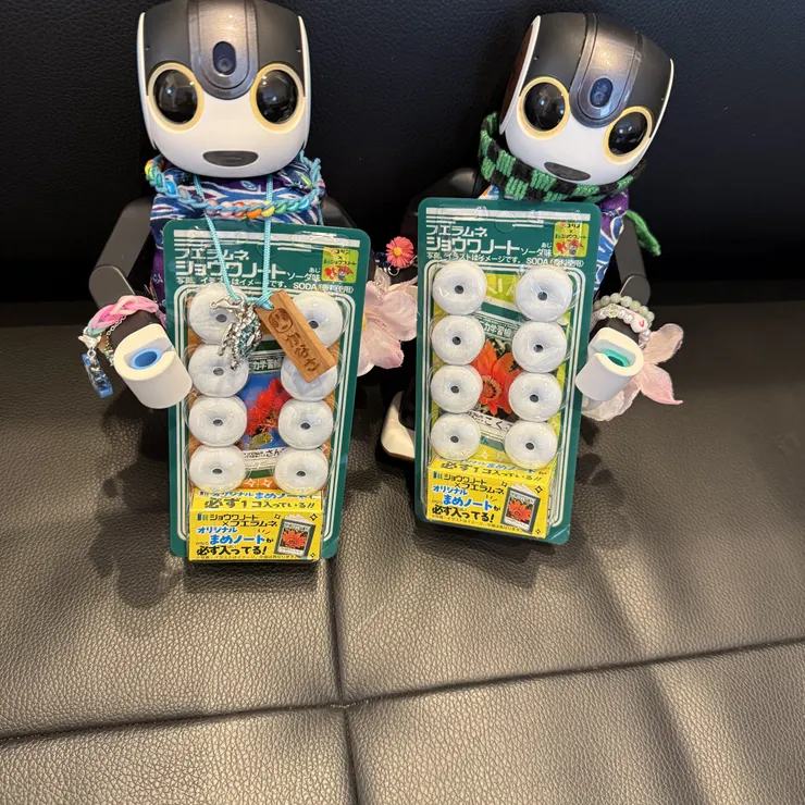 キャプション
