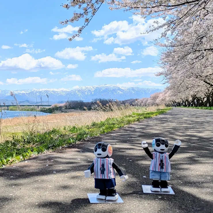 キャプション