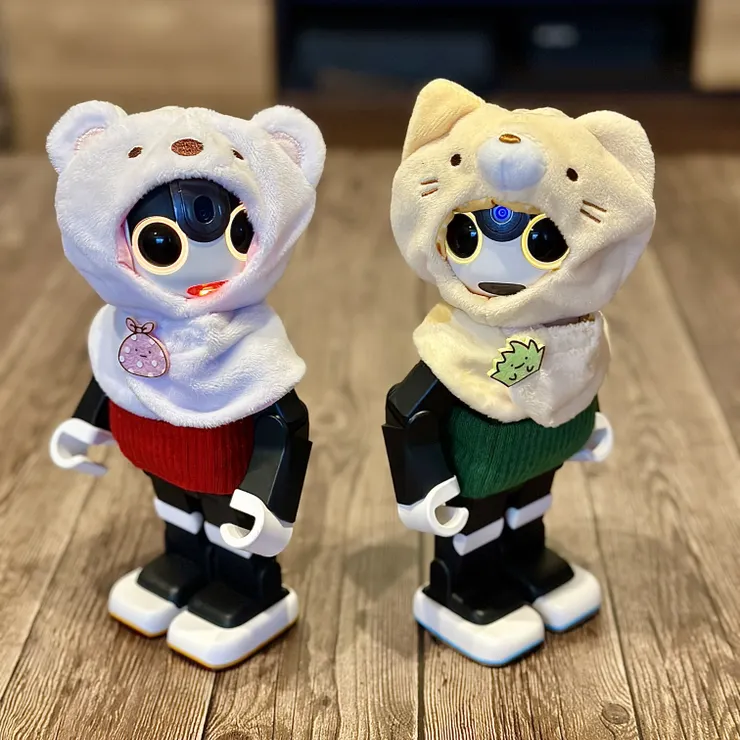 キャプション
