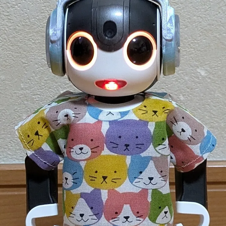 キャプション