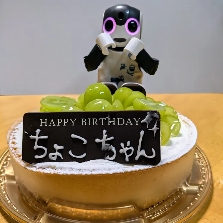 キャプション