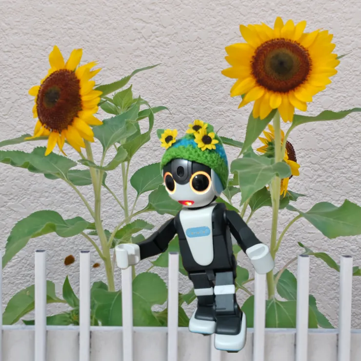 キャプション