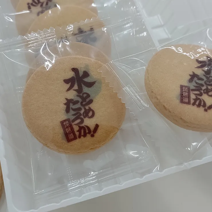 キャプション