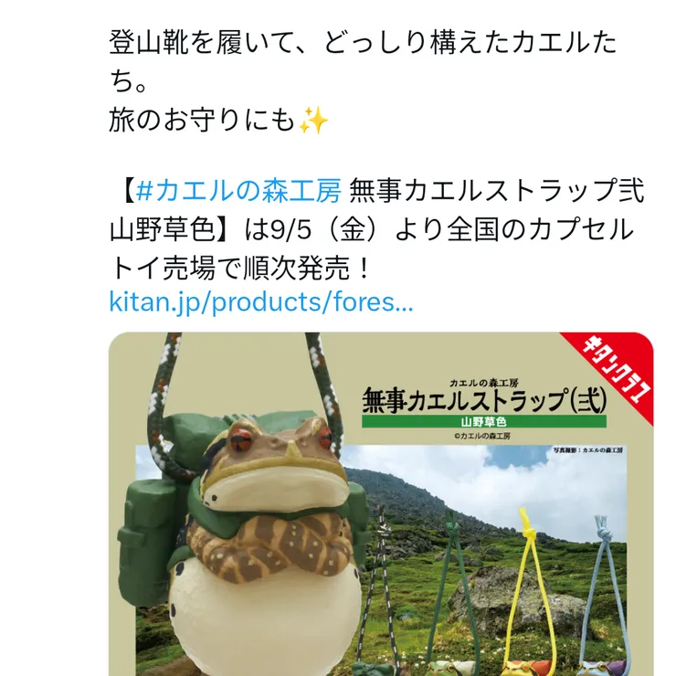 キャプション